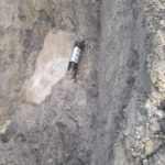 calov 1