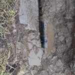tabak 1